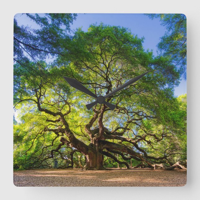 Relógio Quadrado Árvore Elegante Angel Oak (Frente)