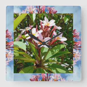 Relógio Quadrado Árvore Flor Rosa Frangipani Enquadrada