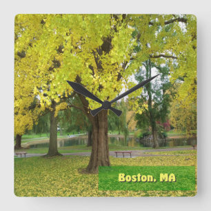 Relógio Quadrado Árvore Gingko Amarela - Jardim Público de Boston