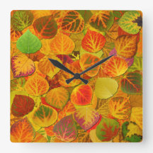 Aspen Deixa Collage Sólido Medley 1