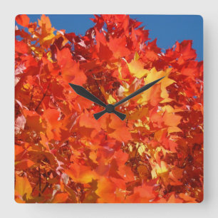 Relógio Quadrado Autumn Clocks Orange Fall Tree deixa personalizado