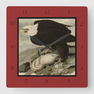 Relógio Quadrado Aves de Audubon com cabeça branca (Águia Balda) da