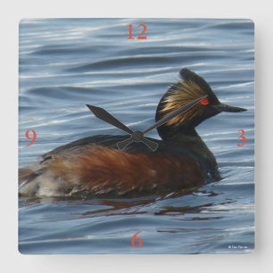 Relógio Quadrado B1 Grebe ao Fundo