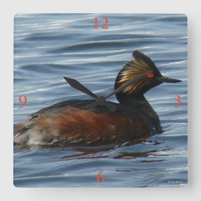 Relógio Quadrado B1 Grebe ao Fundo (Frente)