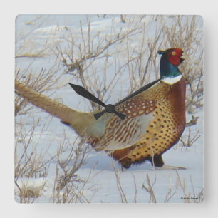 Relógio Quadrado B22 Faisão com pescoço em anel na neve