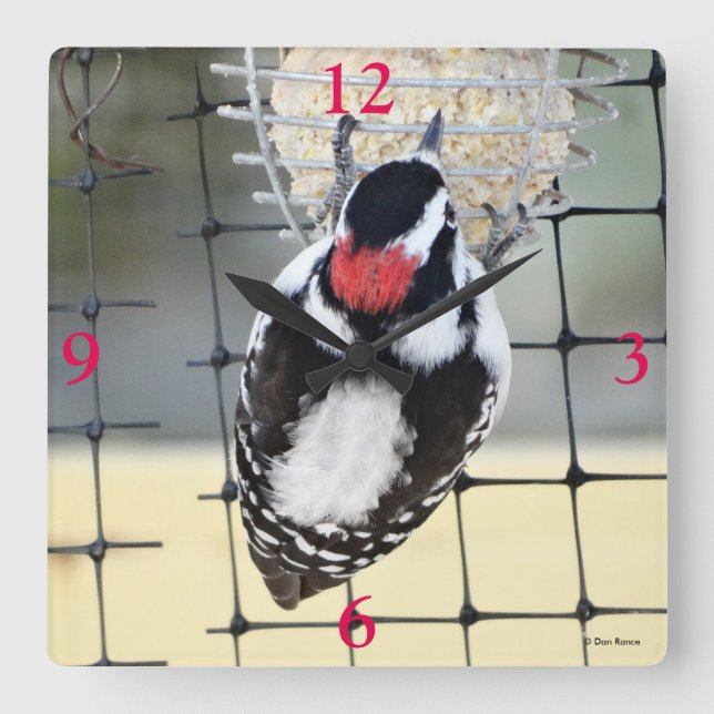 Relógio Quadrado B53 Pica-Pau (Frente)