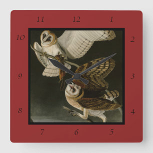 Relógio Quadrado Barn Owl (Tyto alba) Audubon's Birds of America