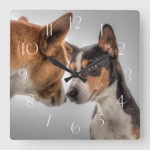Relógio Quadrado Basenji e Amigo