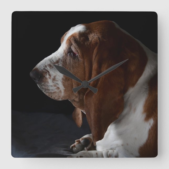 Relógio Quadrado Basset Hound Esperando Que Você Venha Para Casa (Frente)