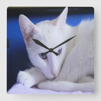 Relógio Quadrado Beautiful White Cat/Add Your Pet's Photo