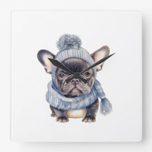 Bebê Bulldog de Inverno em Gorro e Cachecol Azul