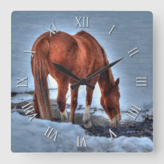 Relógio Quadrado Bebendo Red Dun Ranch Horse em um Pond Snowy