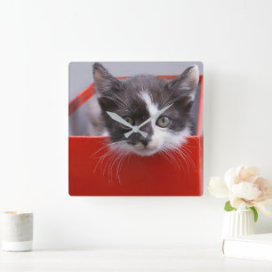 Relógio Quadrado Bebês Mais Pobres   Black & White Kitten