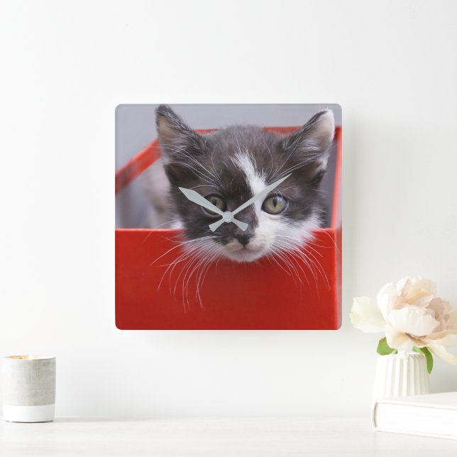 Relógio Quadrado Bebês Mais Pobres | Black & White Kitten (Lar)