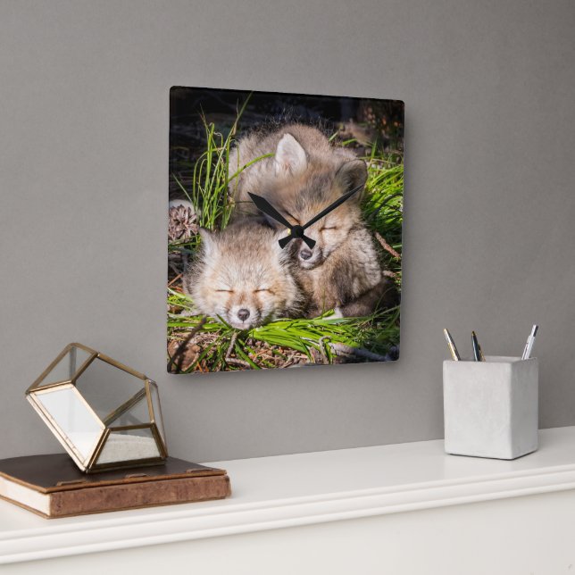 Relógio Quadrado Bebês Mais Pobres | Kits De Raposa Vermelha Para B (Escritório)