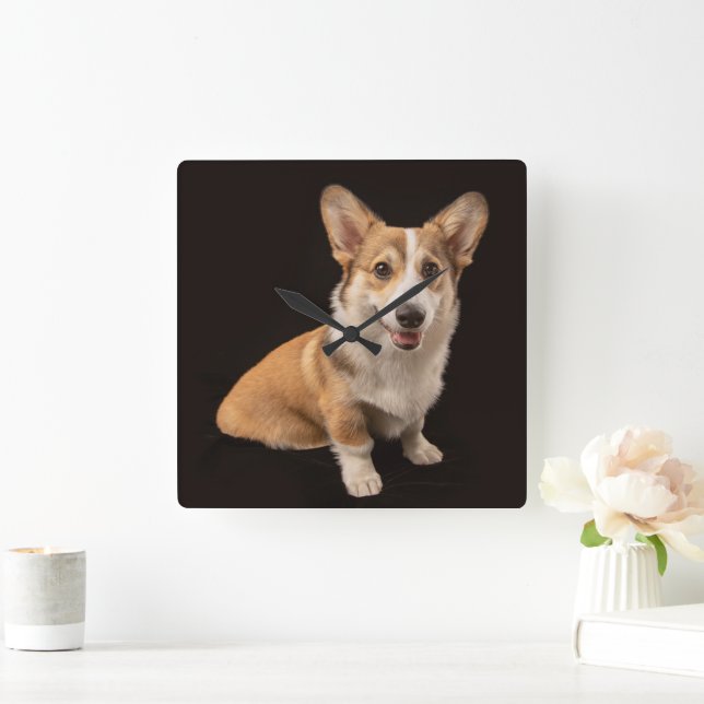 Relógio Quadrado Bebês Mais Pobres | Retrato de Corgi a preto (Lar)