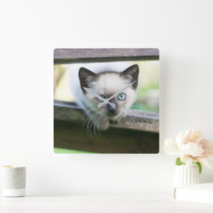 Relógio Quadrado Bebês Mais Pobres Siamese Kitten 2