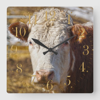 Relógio Quadrado Beleza bovina - Bovinos