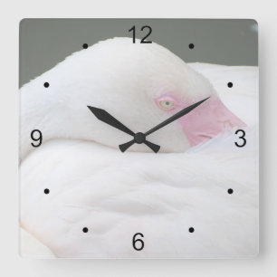 Relógio Quadrado Belo Flamingo Branco