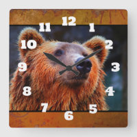 Belo Urso Marrom Retrato Wildlife Foto