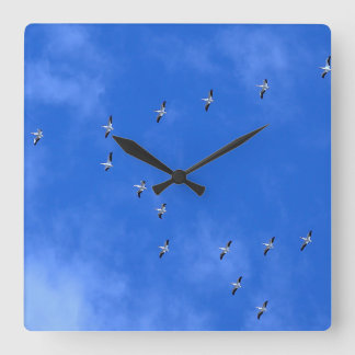 Relógio Quadrado Bird