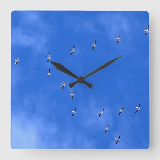 Relógio Quadrado Bird  (Frente)