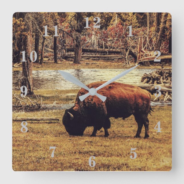 Relógio Quadrado Bison (Frente)