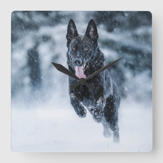 Relógio Quadrado Black German Shepherd in snow Duvet Cover (Frente)