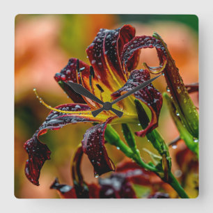 Relógio Quadrado "Black Plush" Daylily