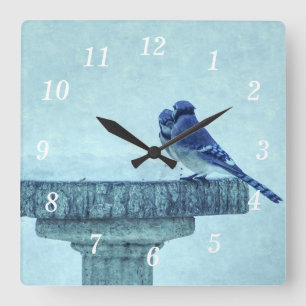 Relógio Quadrado Blue Jays Winter Feeding Painterly Wall Clock