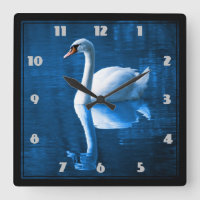 Bonito cisne branco flutuando num lago azul
