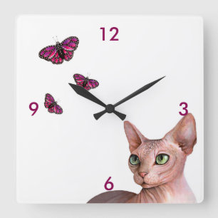 Relógio Quadrado Borboleta do rosa do gato da esfinge de Sphynx do