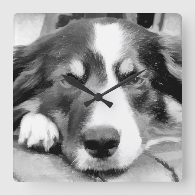 RELÓGIO QUADRADO BORDER COLLIE (Frente)