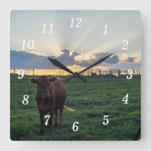 Relógio Quadrado Bovinos Fazenda Sunset Wall Clock