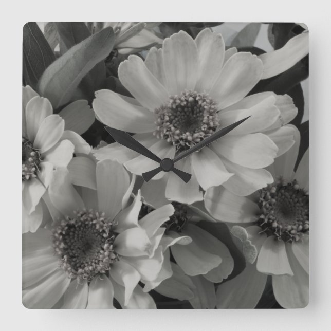 Relógio Quadrado Brown Eyed flores de Susan (Frente)