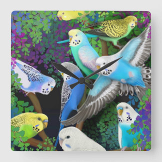 Relógio Quadrado Budgerigars no pulso de disparo de parede das