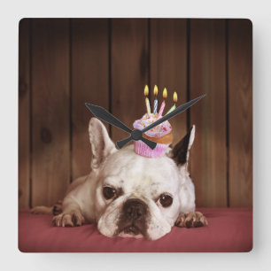 Relógio Quadrado Buldogue francês com cupcake do aniversário