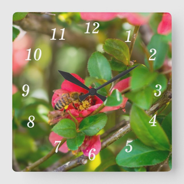 Relógio Quadrado Bumblebee E Azalea Wall Clock (Frente)