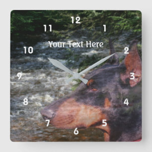 Relógio Quadrado Cachorro E Fluxo Do Doberman Negro