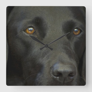 Relógio Quadrado Cachorro Negro Labrador