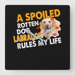 Relógio Quadrado Cachorro O Rupido Labrador Domina Minha Vida