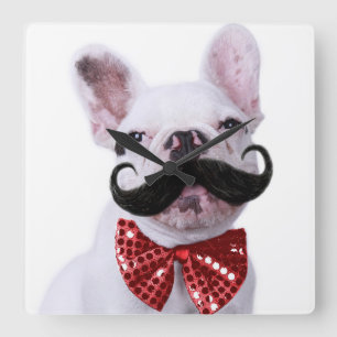 Relógio Quadrado Cachorro Touro Francês Cachorro Com bigode