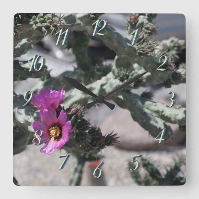 Relógio Quadrado Cacto Challa em flor (Frente)
