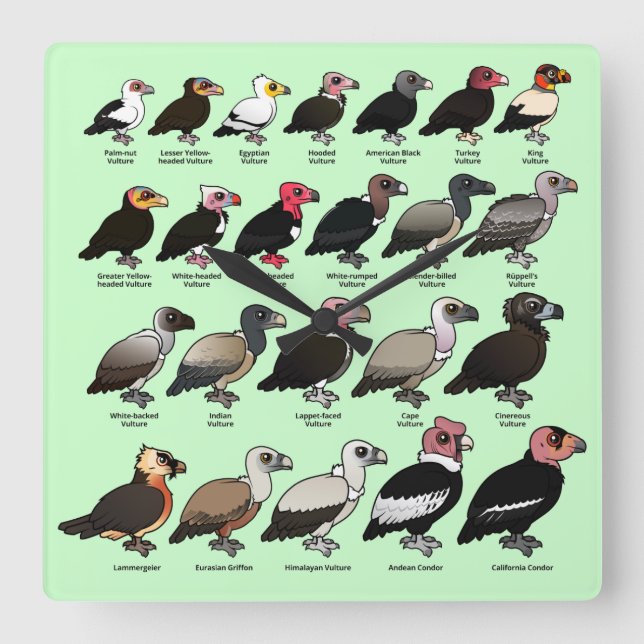 Relógio Quadrado Cada abutre (Frente)