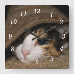 Relógio Quadrado Calico Taco Wall Clock