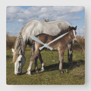 Relógio Quadrado Camargue Horse Foal with Mother
