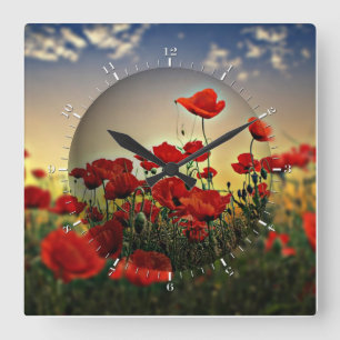Relógio Quadrado Campo vermelho da papoila