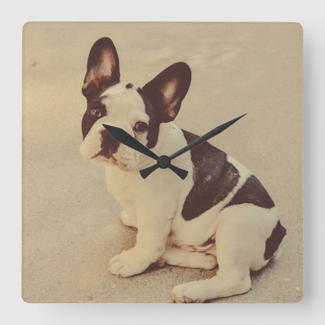 Relógio Quadrado Cão (Frente)