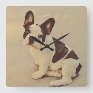 Relógio Quadrado Cão