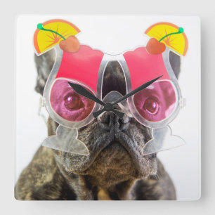 Relógio Quadrado Cão das imagens de Getty com vidros de cocktail